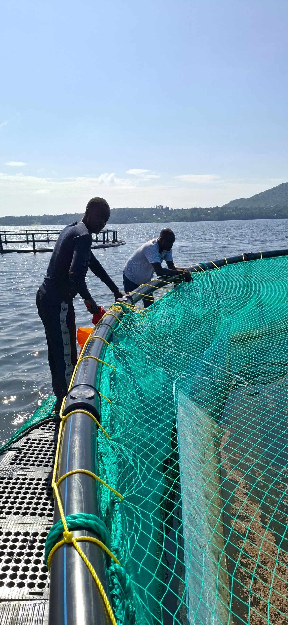 WhatsApp Image 2024-11-25 at 18.44.57 Imagen de WhatsApp 2024-11-25 a las 18.44.57