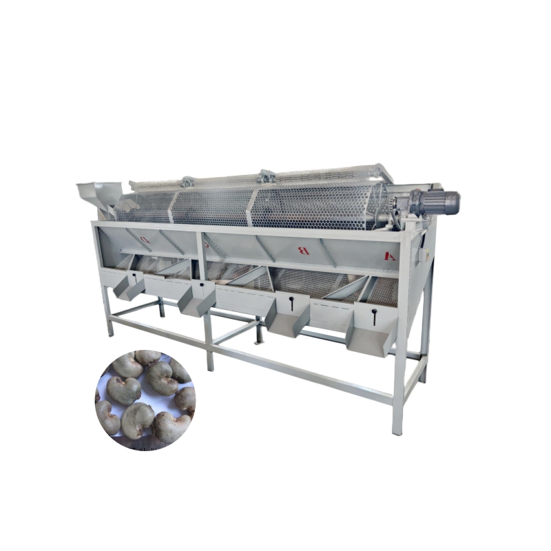 clasificadora de anacardos 9